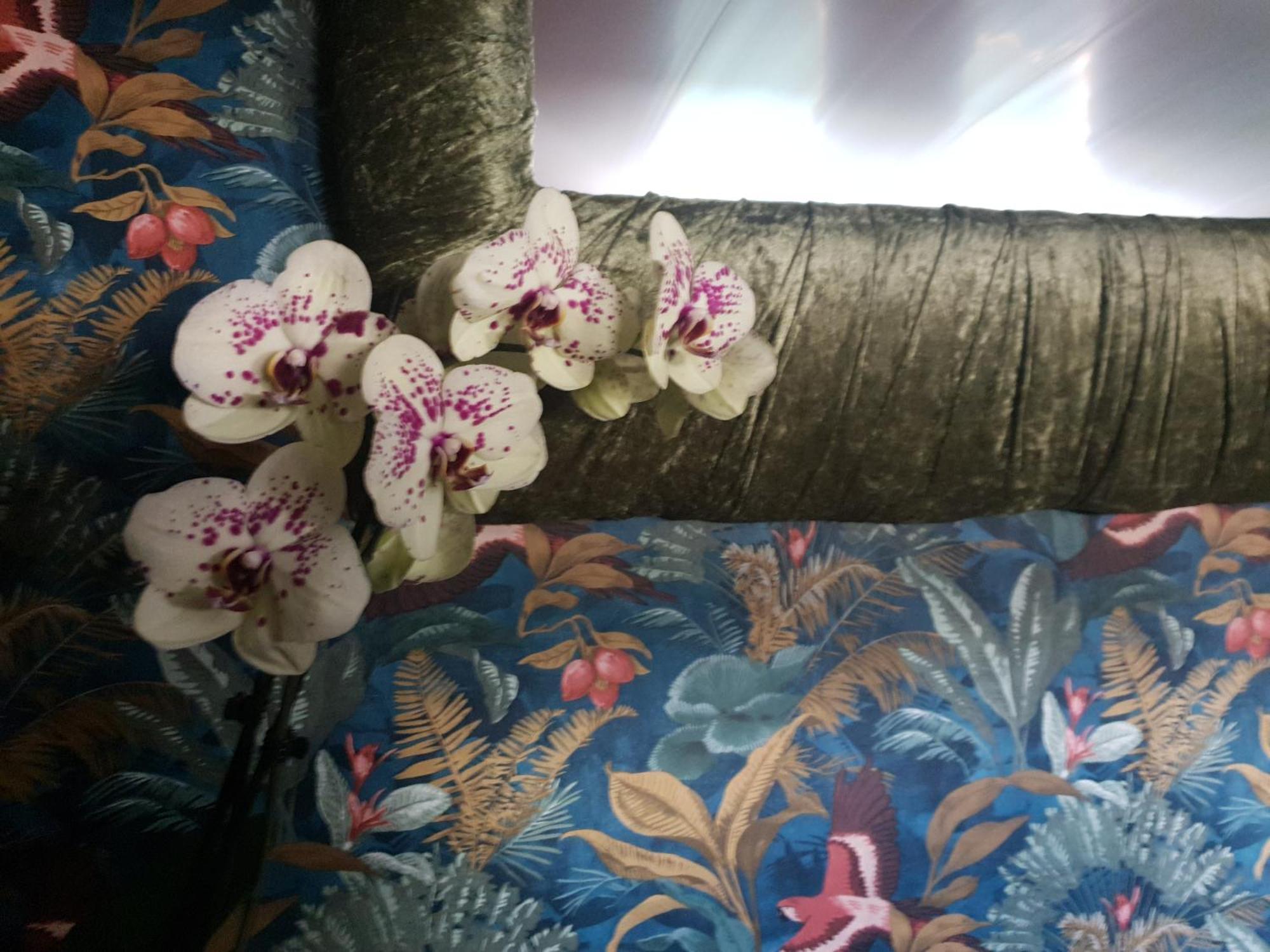 Jasmine Coral Jay Boutique Boatel Ocean Village Gibraltar Room photo